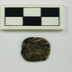 One of only a few vilca seeds found at the site.